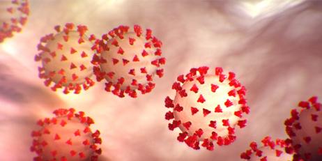 Coronavirus
